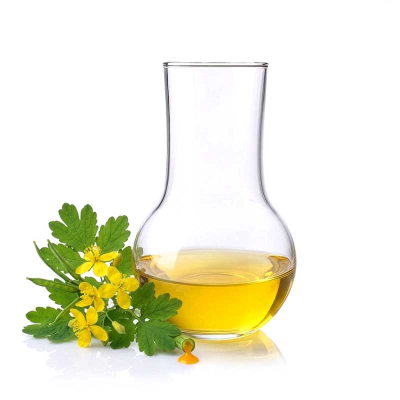 Aktivní lipoextrakt z vlaštovičníku většího, 100 ml