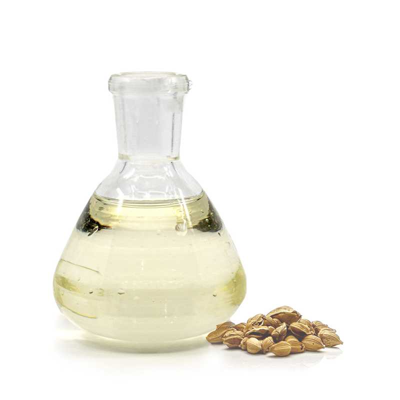 Arganový olej, LZS, BIO, deodorizovaný 1 l
