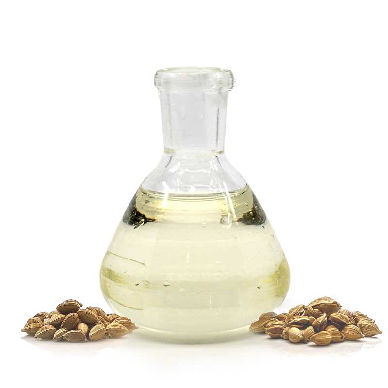 Arganový olej, BIO LZS, jemně pražený, 1 l