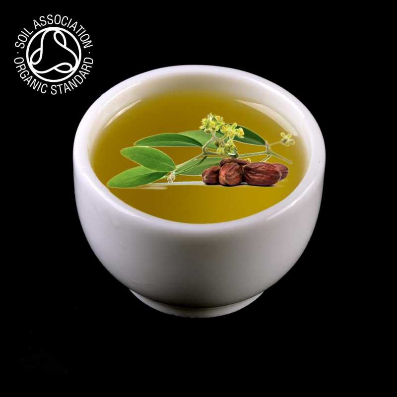 Jojobový olej se vyrábí lisováním semen jojoby čínské (Simmondsia chinensis) za studena. Námi dodávaný jojobový olej je v nejvyšší BIO (bio) kval