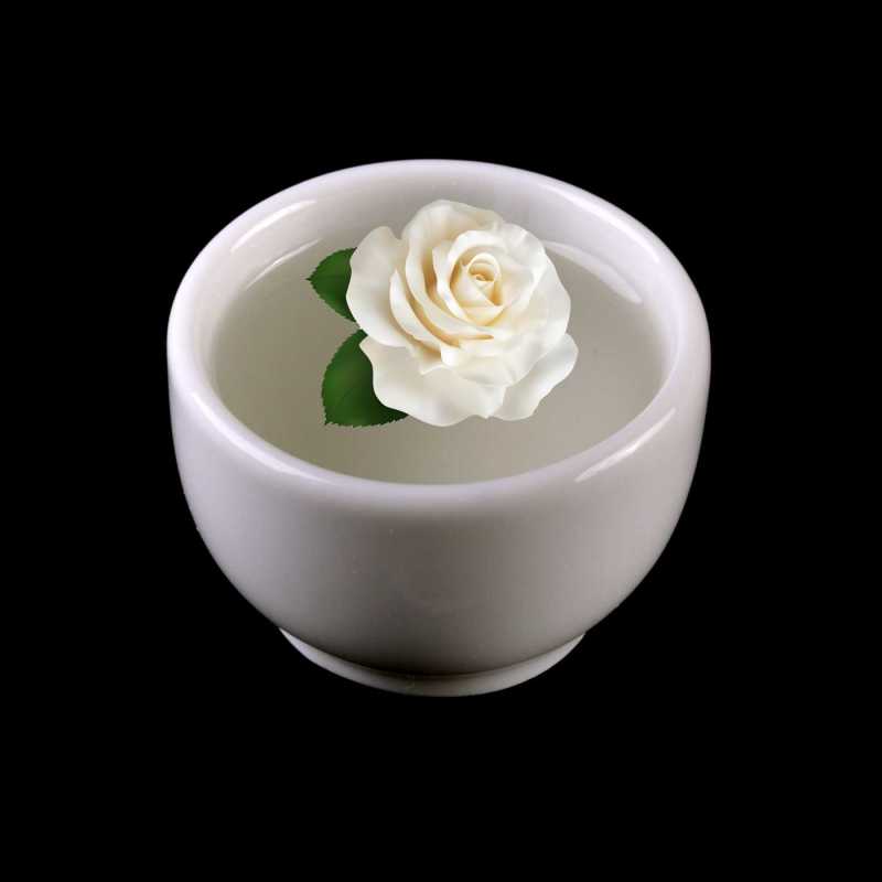 Bílá růžová voda (Rosa Alba) pochází přímo z bulharského údolí růží a vyrábí se parní destilací z čerstvých organických květů Rosa Alba.