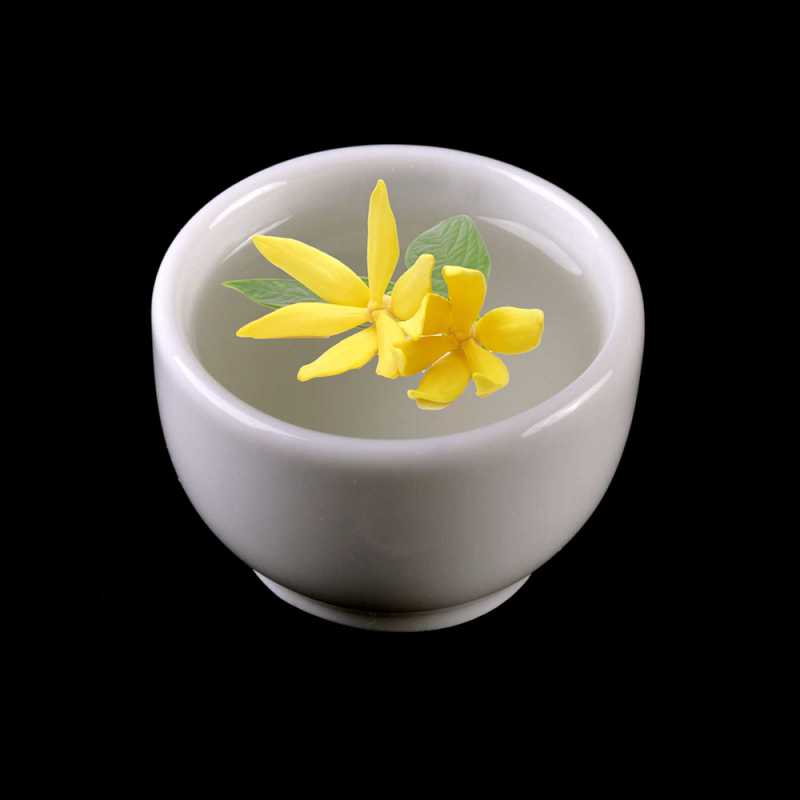 Sladká a omamná vůně ylang ylang uklidňuje a léčí. Je to smyslná květinová vůně doplněná tóny fialky a růže, založená na pižmovém základu