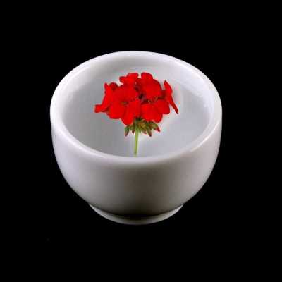 Esenciální olej, Rose Geranium, 10 ml