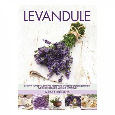 Levandule - Recepty, návody a tipy na výrobu
