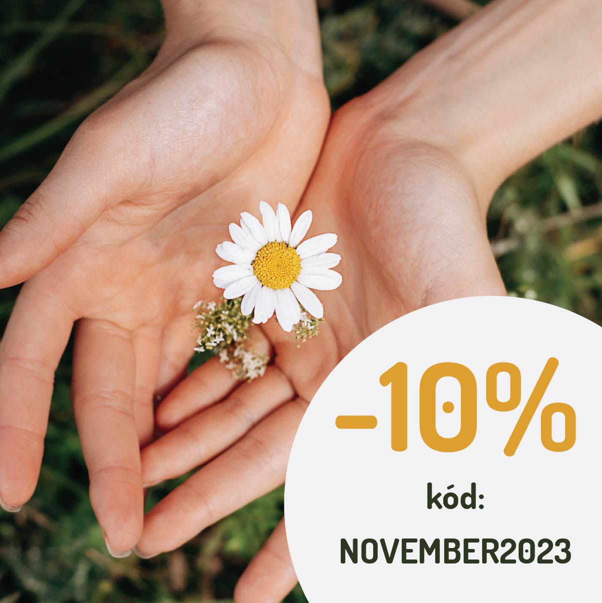 Novembrová zľava -10% na suroviny na tvorbu prírodnj kozmetiky v Handymade a ruky s harmančekom.